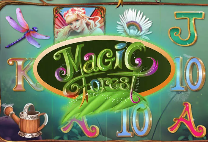 Casino gaming image